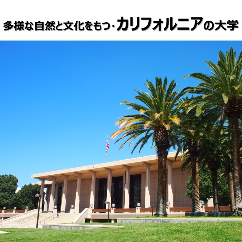 カリフォルニアの大学 - 学部留学・認定留学のJSAF 日本スタディ ...